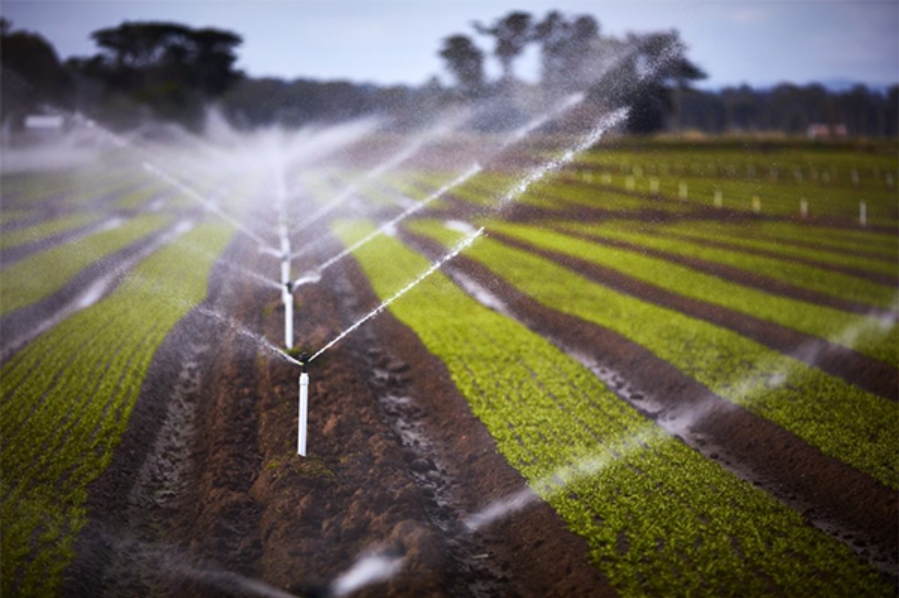 Selecting the Optimal Pump for Irrigation : Emphasis on Effic