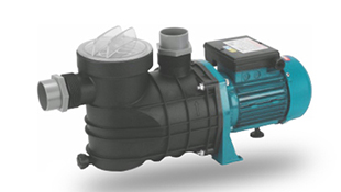 Pool And Spa Pump