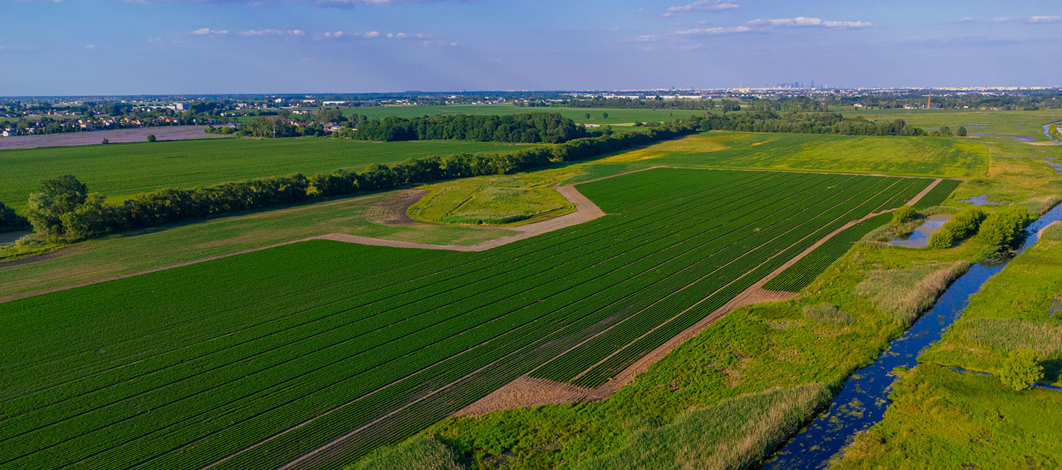 Taizhou Edwin Electric Co., Ltd.